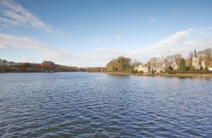 newstead abbey image 15 sm.jpg